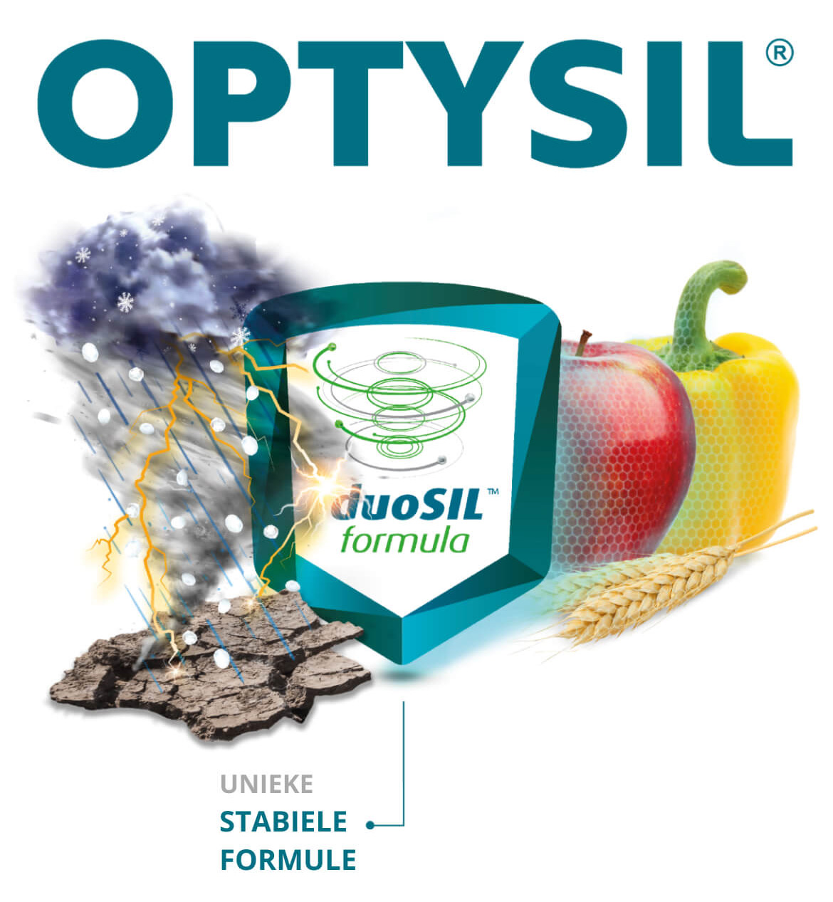 optysil intermag
