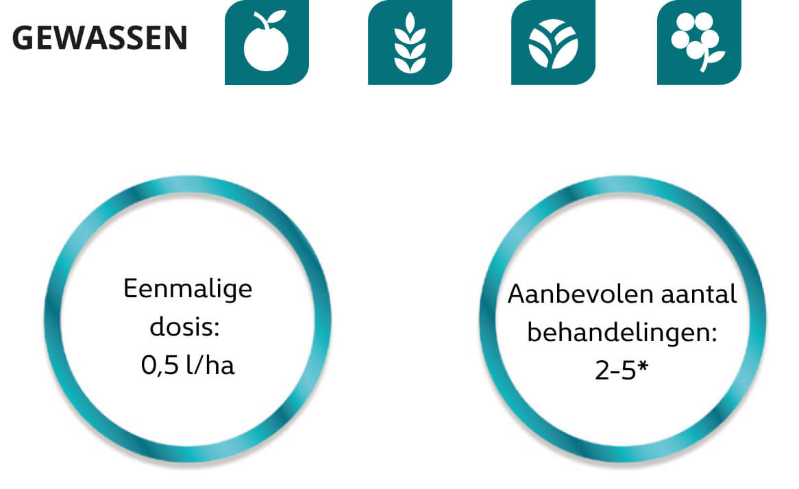 optysil uprawy